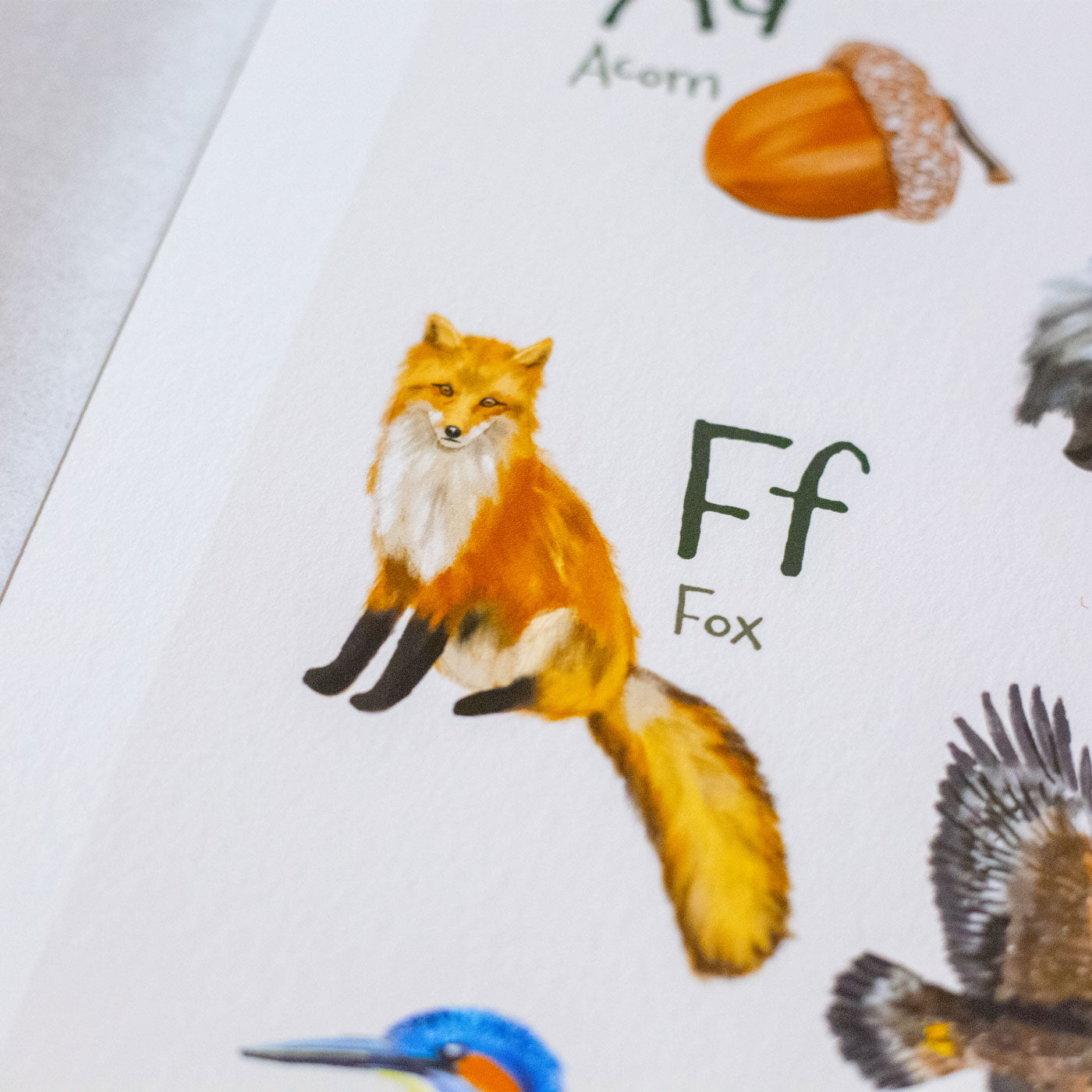 Woodland Alphabet Illustrated Print | PREORDER